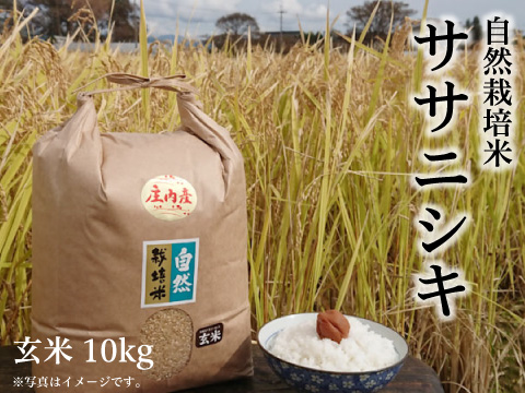 2023年産 新米 自然栽培米《ササニシキ：玄米》10kg 80サイズ | 作ぜん農園