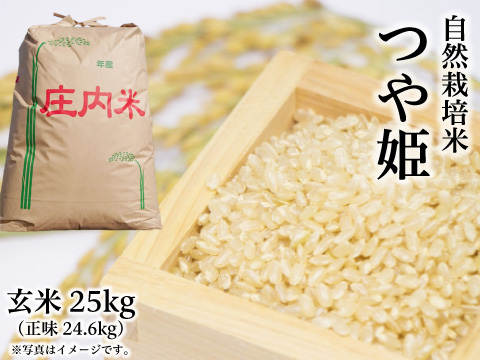 2021年産 新米 自然栽培米《つや姫：玄米》25kg（正味24.6kg） 100 