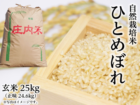 2022年産 新米 自然栽培米《ひとめぼれ：玄米》25kg（正味24.6kg） 100 