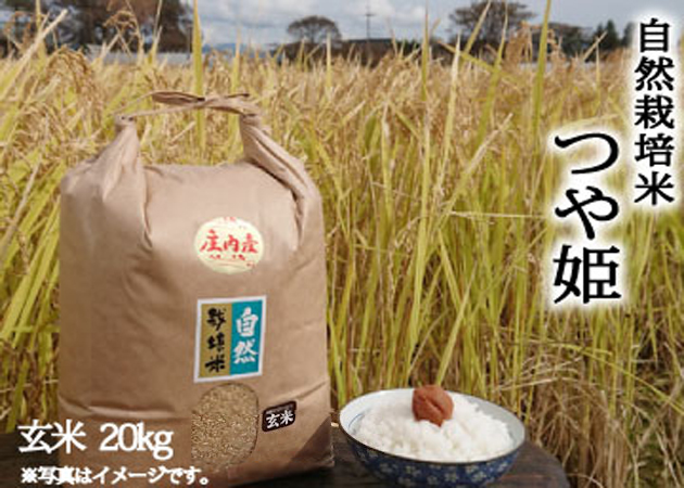 2023年産 新米 自然栽培米《つや姫：玄米》20kg 100サイズ | 作ぜん農園