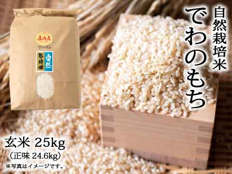 【安く購入】もちあん様専用 25キロを精米、小分けなし 米/穀物
