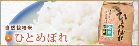 自然栽培米ひとめぼれ