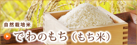 自然栽培米でわのもち