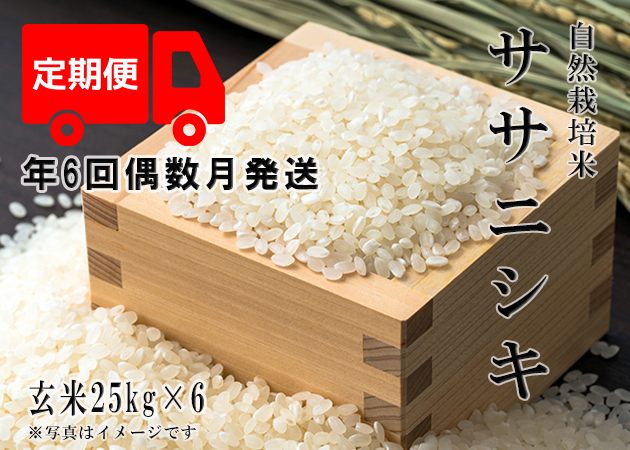 2024年産 新米 自然栽培米【年6回偶数月お米定期便】《ササニシキ 