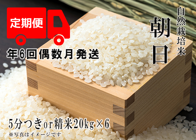 特売令和5年産もち米ご予約分20 米・雑穀・粉類