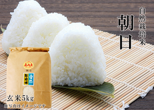 自然栽培米　朝日　玄米5kg　米