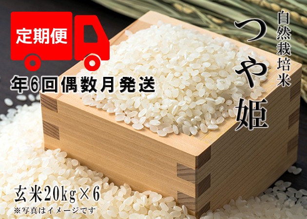 2023年産 新米 自然栽培米【年6回偶数月お米定期便】《つや姫：玄米