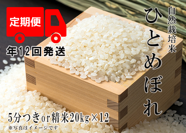 2023年産 新米 自然栽培米【年12回発送お米定期便】《ひとめぼれ：5分