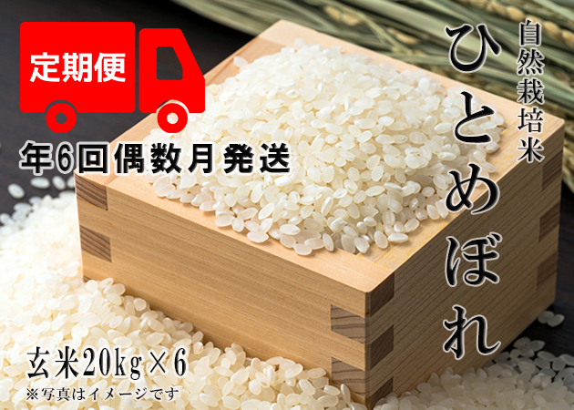 2023年産 新米 自然栽培米【年6回偶数月お米定期便】《ひとめぼれ ...