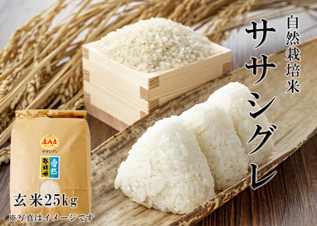 2023年産 予約 新米 自然栽培米《ササシグレ：玄米》25kg（正味24.6kg 