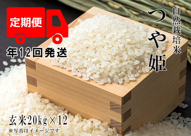 2023年産 新米 自然栽培米【年12回発送お米定期便】《つや姫：玄米