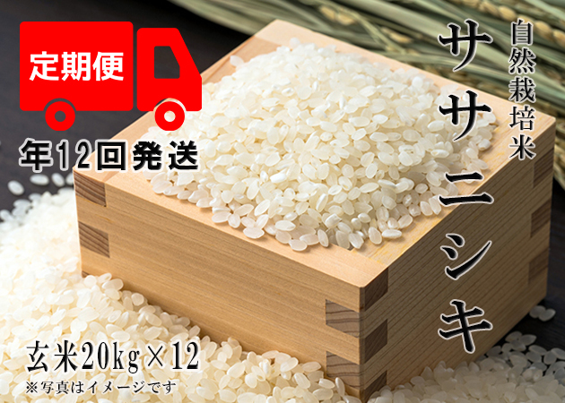 2023年産 新米 自然栽培米【年12回発送お米定期便】《ササニシキ：玄米 ...
