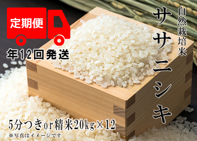 2023年産 新米 自然栽培米【年12回発送お米定期便】《ササニシキ：5分