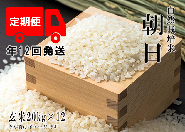 2023年産 新米 自然栽培米【年12回発送お米定期便】《朝日：玄米》20kg