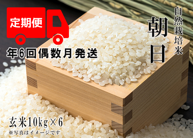 大阪最安値 自然栽培 玄米 14kg 2023年産 コシヒカリ - 食品