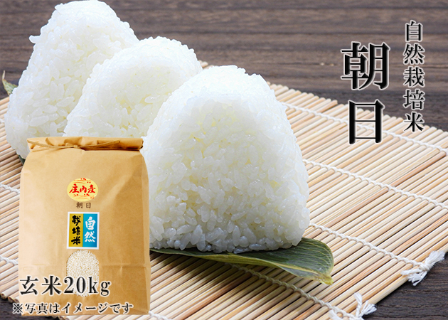 育った自然栽培のお米ですイセヒカリ　玄米20kg  2023南信州産　自然栽培　注文次第籾摺り
